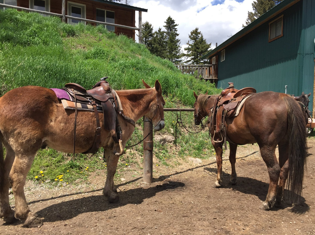 Specimen Creek Outfitters-加德纳必去景点