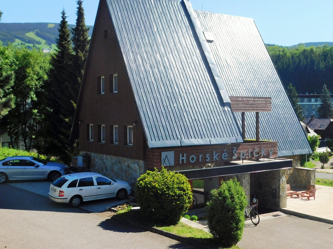 伊泽拉河畔洛奇尼采酒店住宿-Garni Hotel Horske Spicky