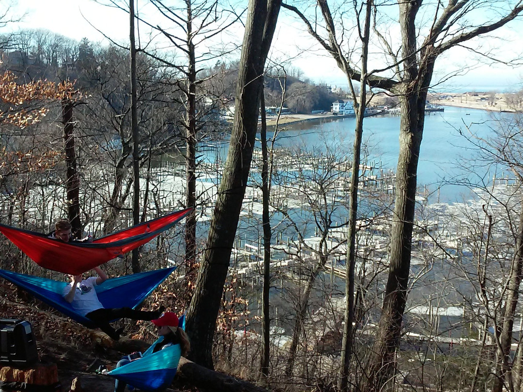 Sanctuary Woods-荷兰村必去景点