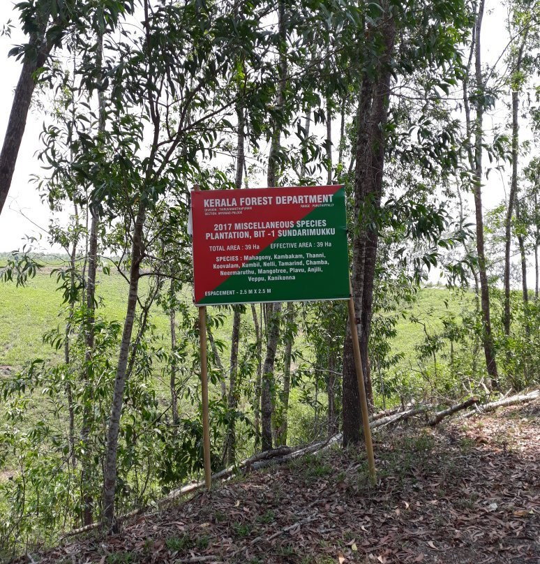 Peppara Wildlife Sanctuary景点图片