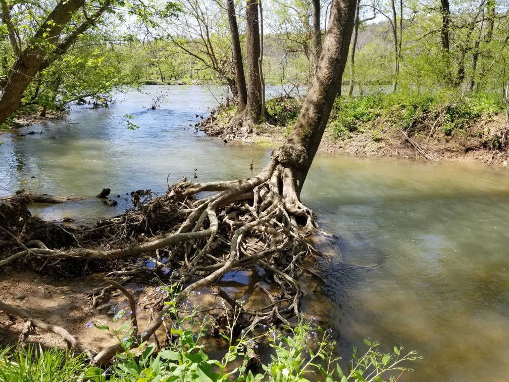 Shenandoah River State Park景点图片