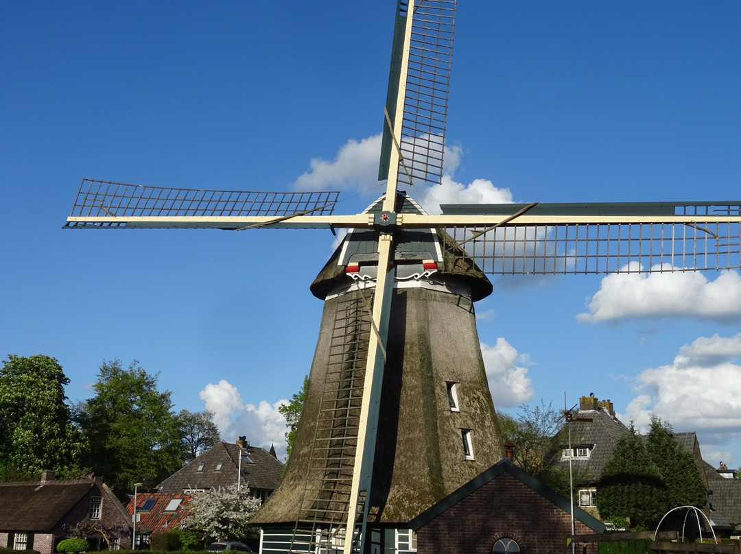 De Molen van Laren景点图片