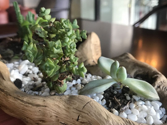 蓝海大饭店主图