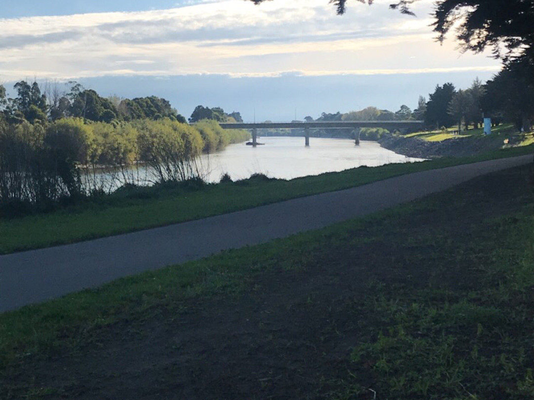 Manawatu River Pathway景点图片