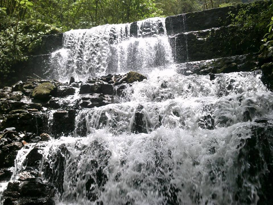 Yacambu National Park景点图片