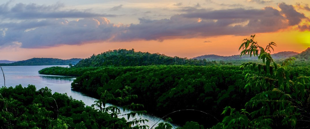 Sanctuaria Treehouses Busuanga主图