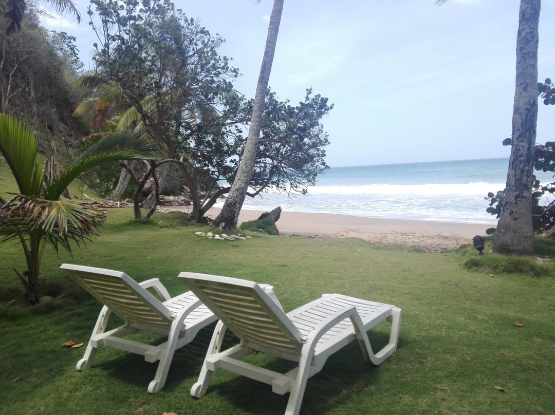 Villas Playa de Uva主图