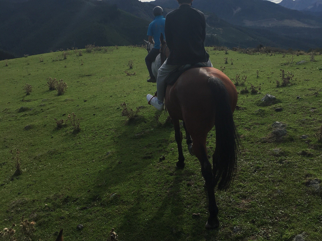 Hanmer Horse Trekking景点图片
