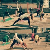 AlexINyoga Escapes景点图片