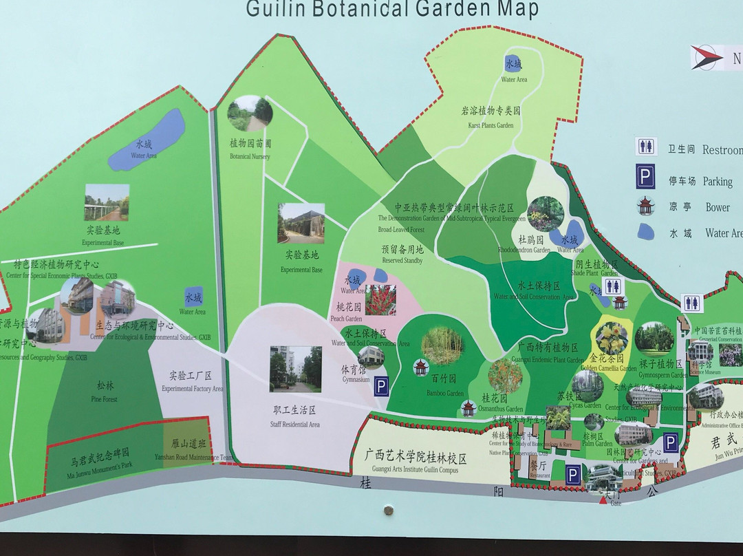 中国科学院桂林植物园景点图片