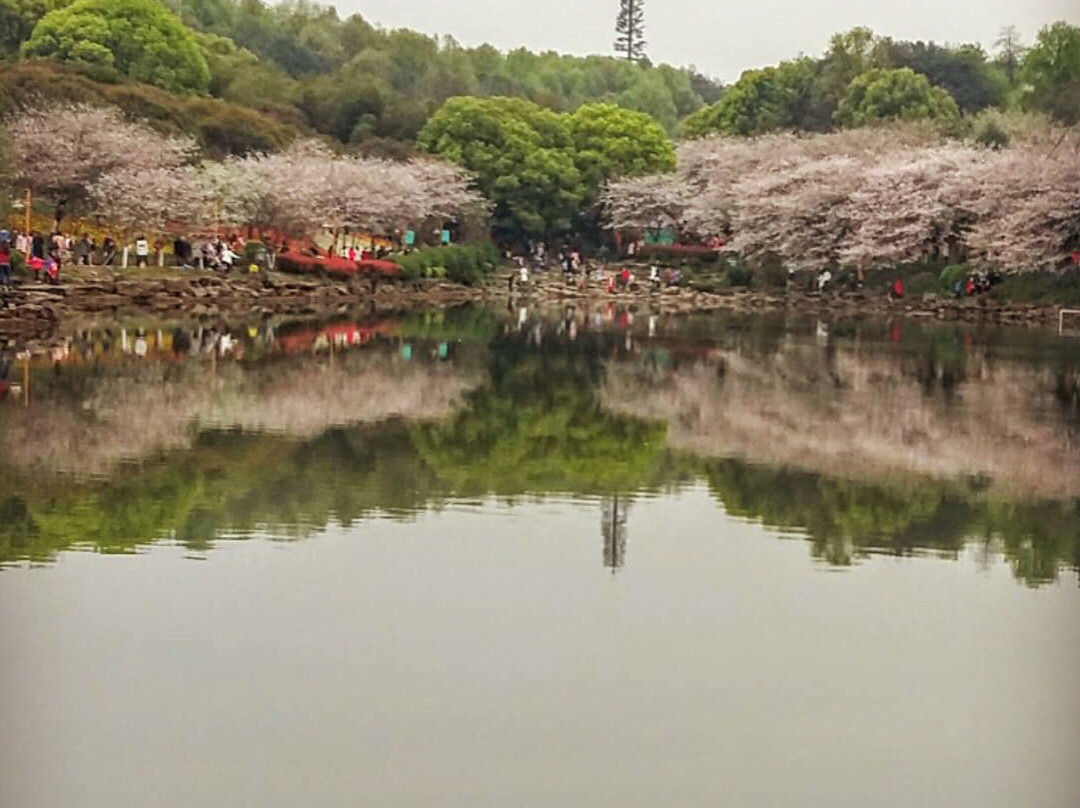 长沙南郊公园-长沙市必去景点