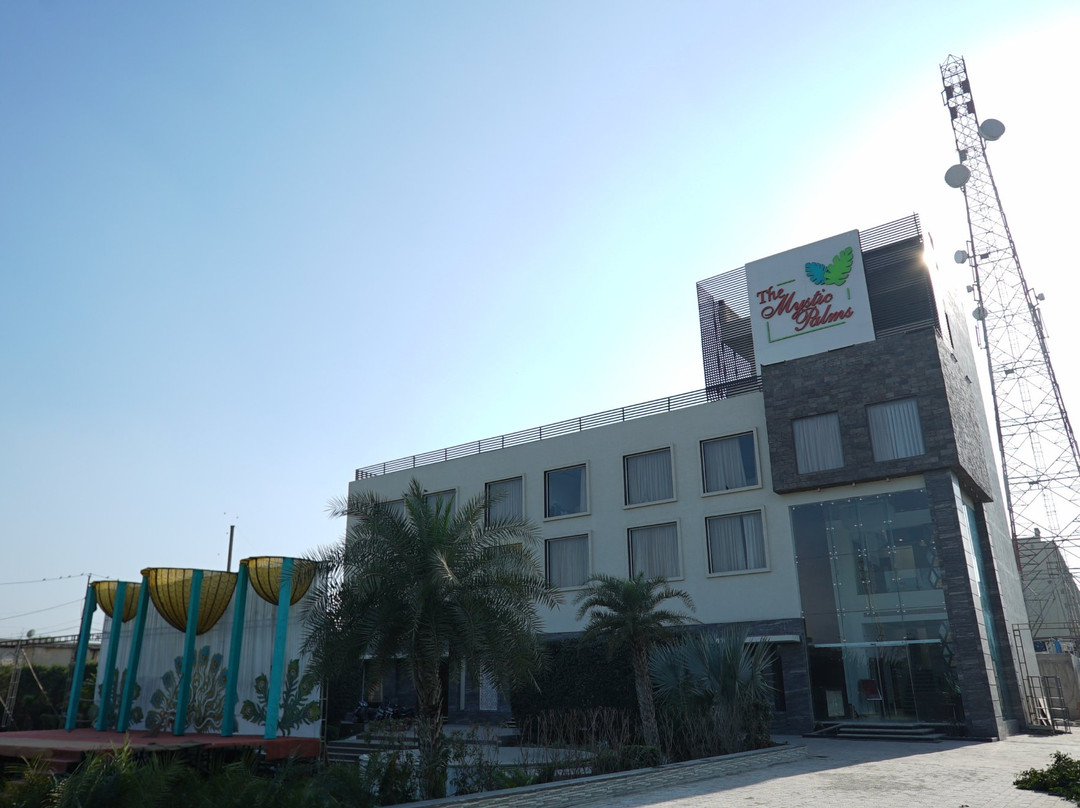 The Mystic Palms主图