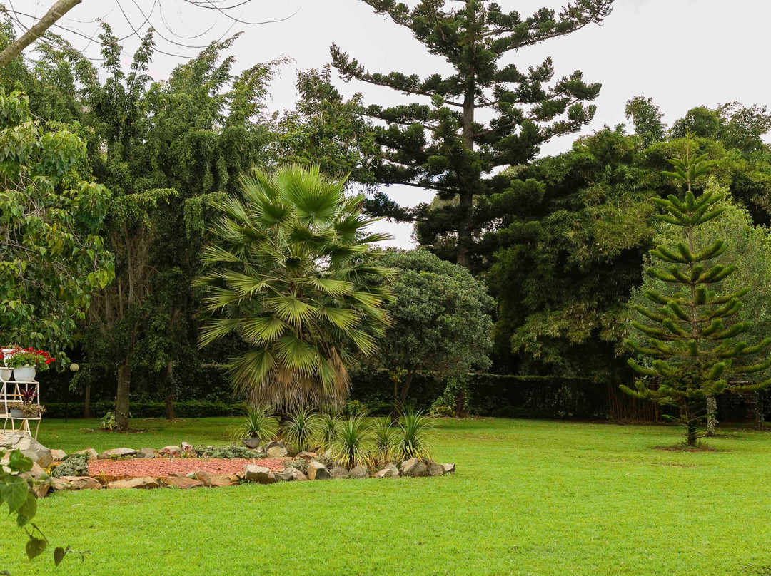 La Belle Villa主图