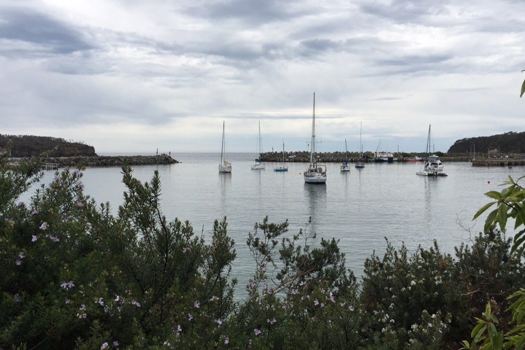 Sandpiper Motel主图