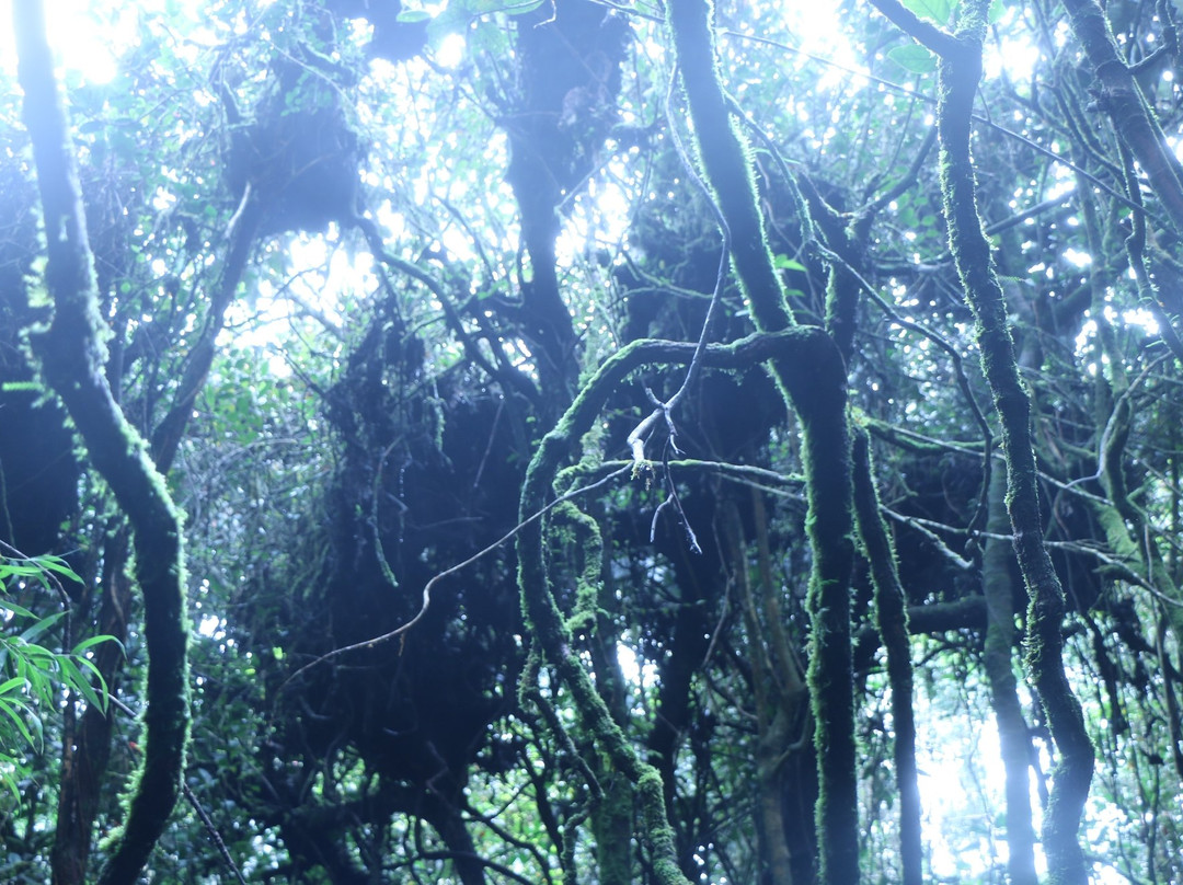 Mount Berembun-丹那拉塔必去景点