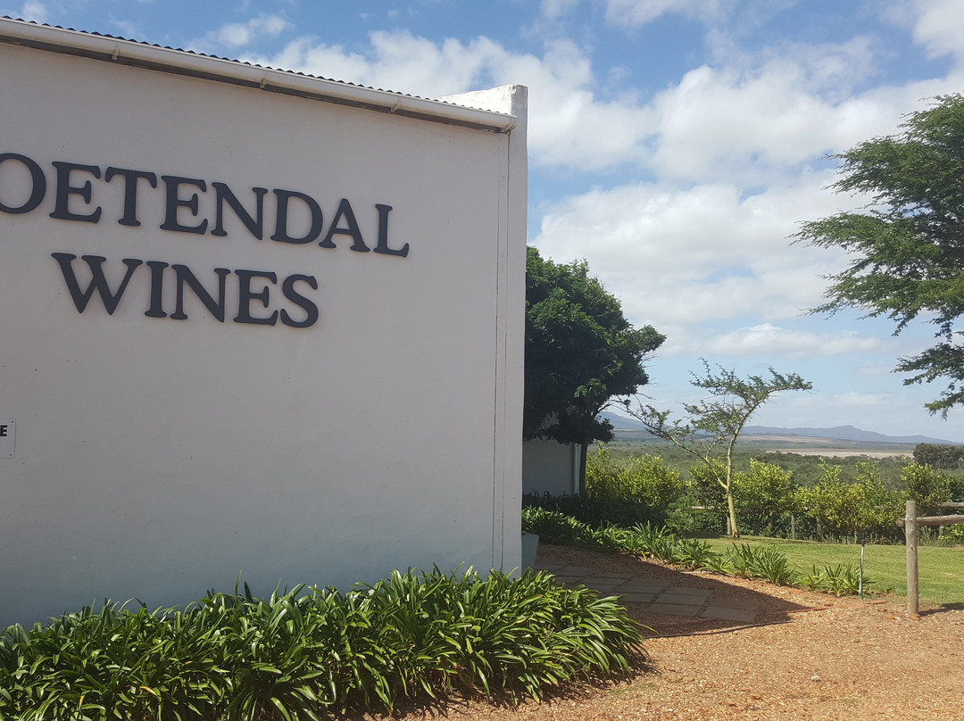 Zoetendal Vineyards & River Estate-Elim必去景点