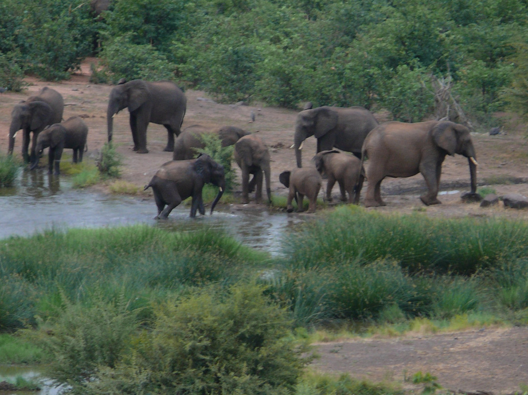 Victoria Falls Safari Club主图