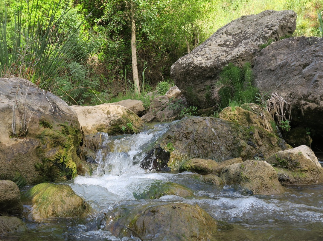 Molino de Las Tablas主图