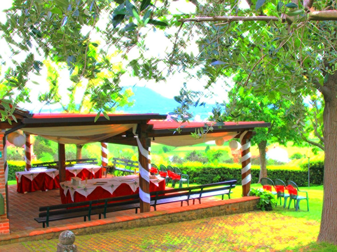 Zovon旅游攻略图片