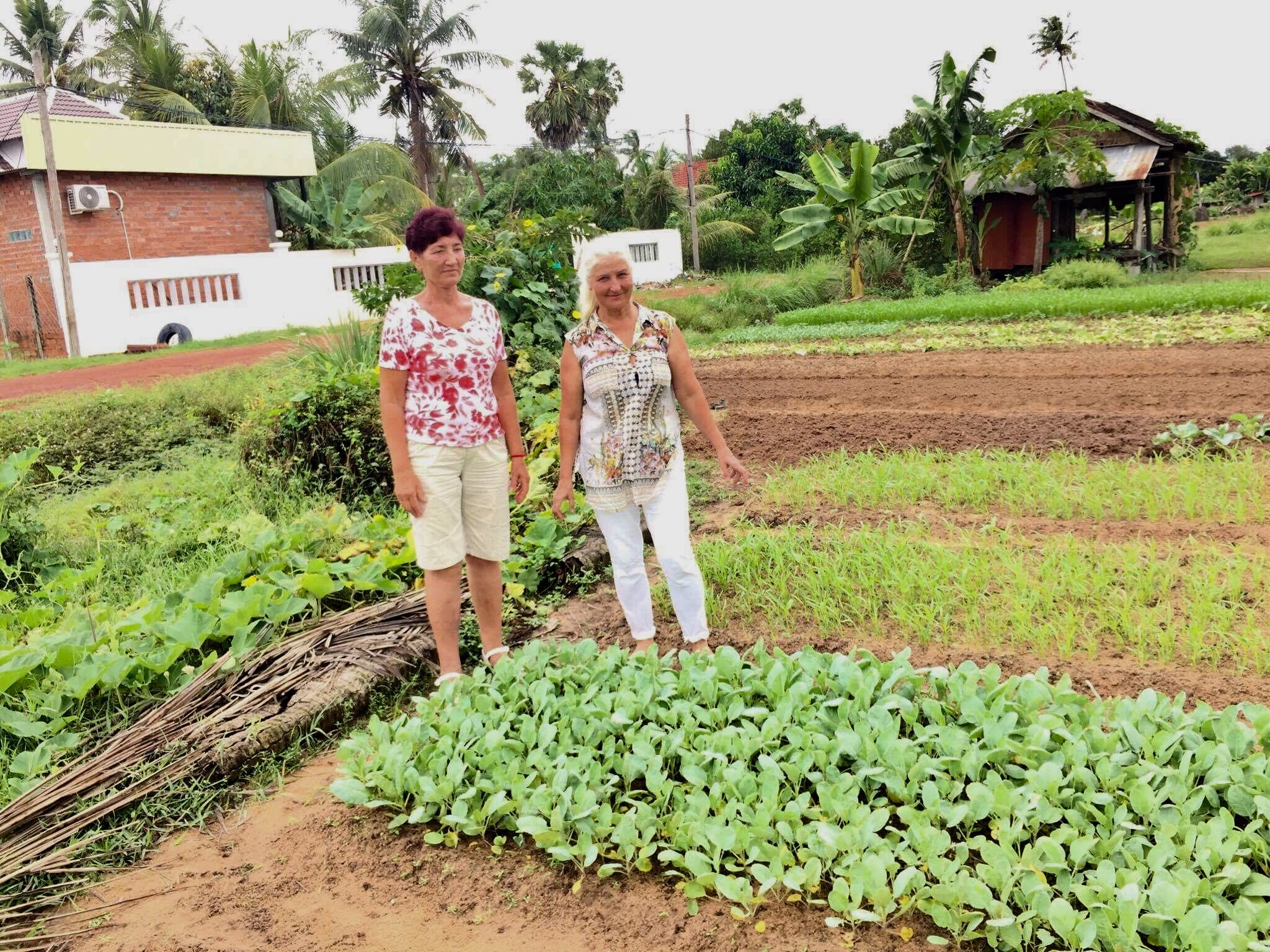 Green Life Cottage-官方