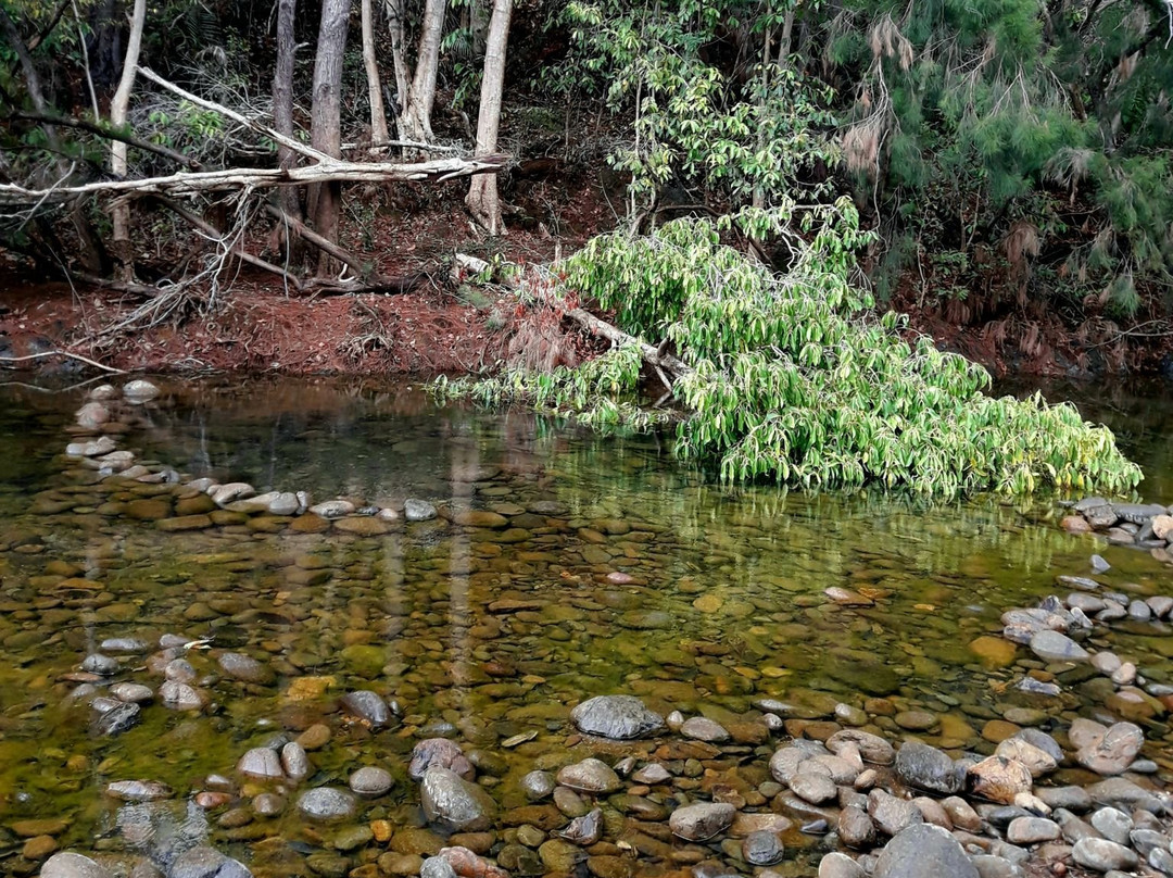 Yala Ranch-Dumbea必去景点