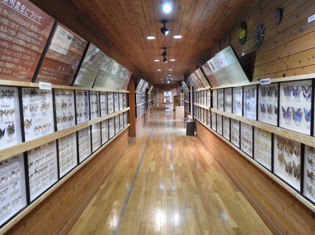 Hokutoshi Oomurasaki Center-北斗市必去景点