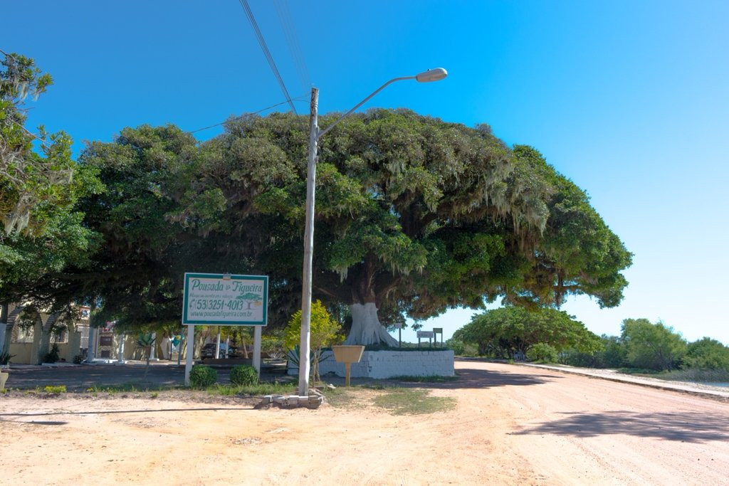 Pousada da Figueira