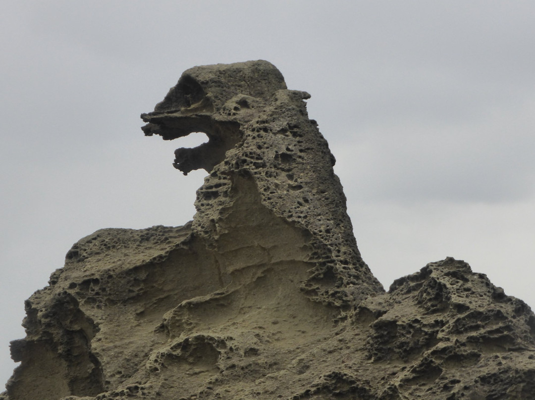 Godzilla Rock-男鹿市必去景点