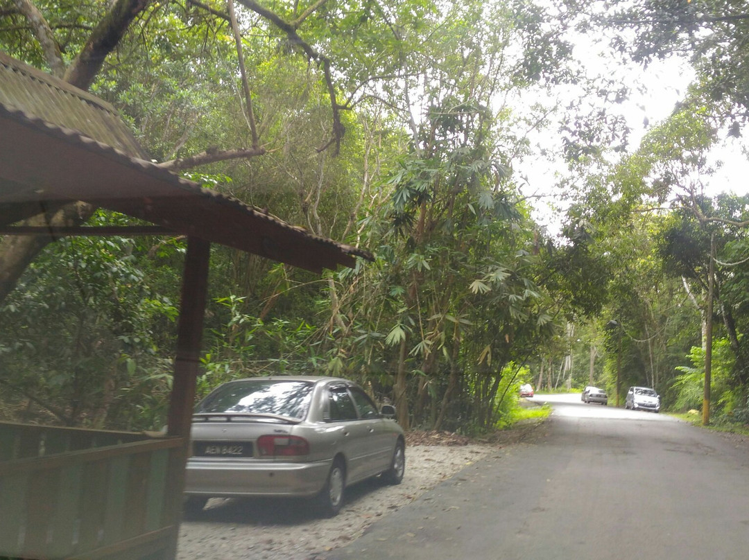 Lata Ulu Chepor-Chemor必去景点