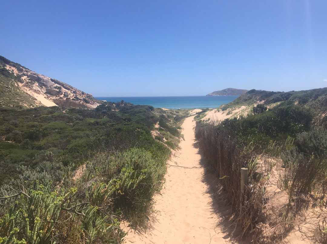 Darby Beach景点图片