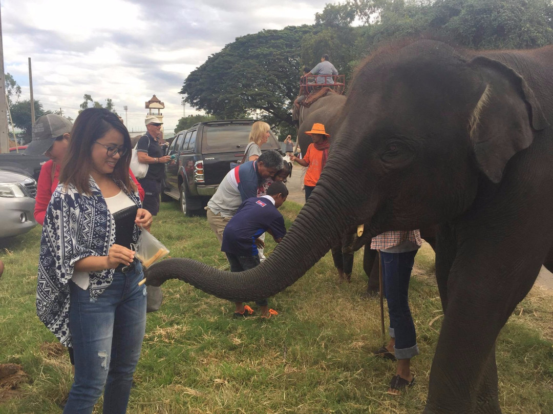 Radiance Travel and Tours-暹粒必去景点