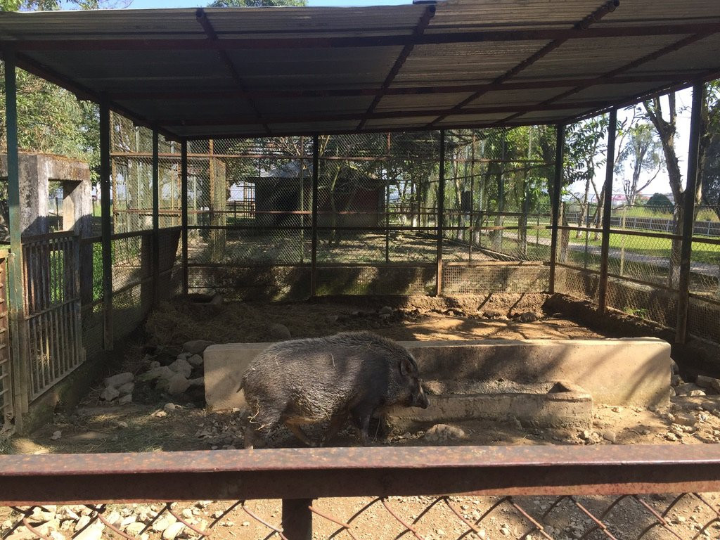 Manipur Zoological Gardens-因帕尔必去景点