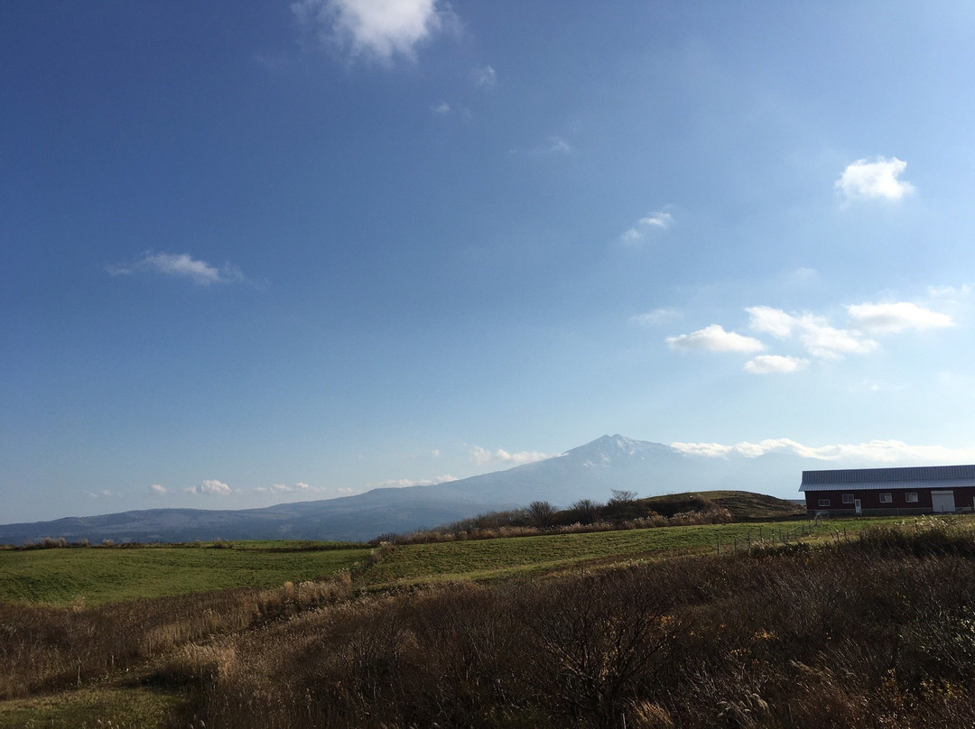 Tsuchida Farm景点图片