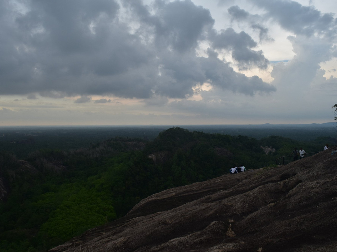 Maligatenna Rajamaha Viharaya景点图片