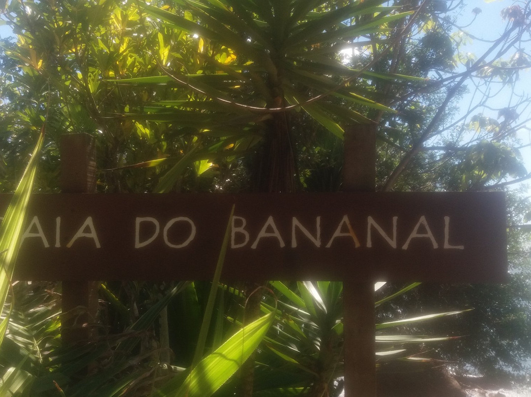 Praia do Bananal景点图片