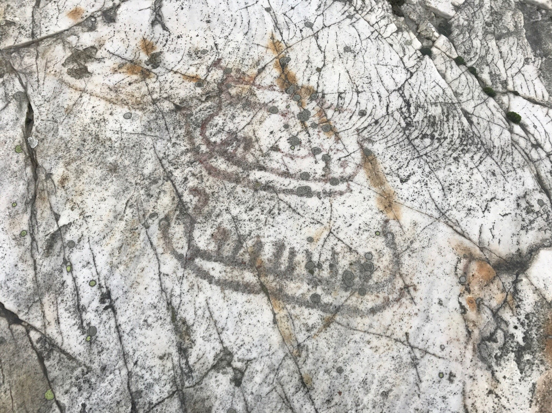 Horsahallen's Rock Carving Area-Simrishamn必去景点