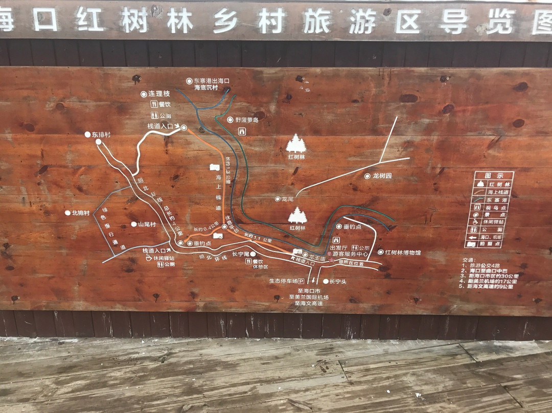 海口红树林-海口市必去景点