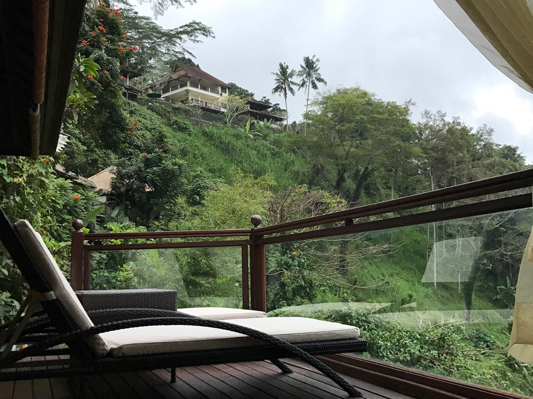 巴龙蝴蝶度假村主图