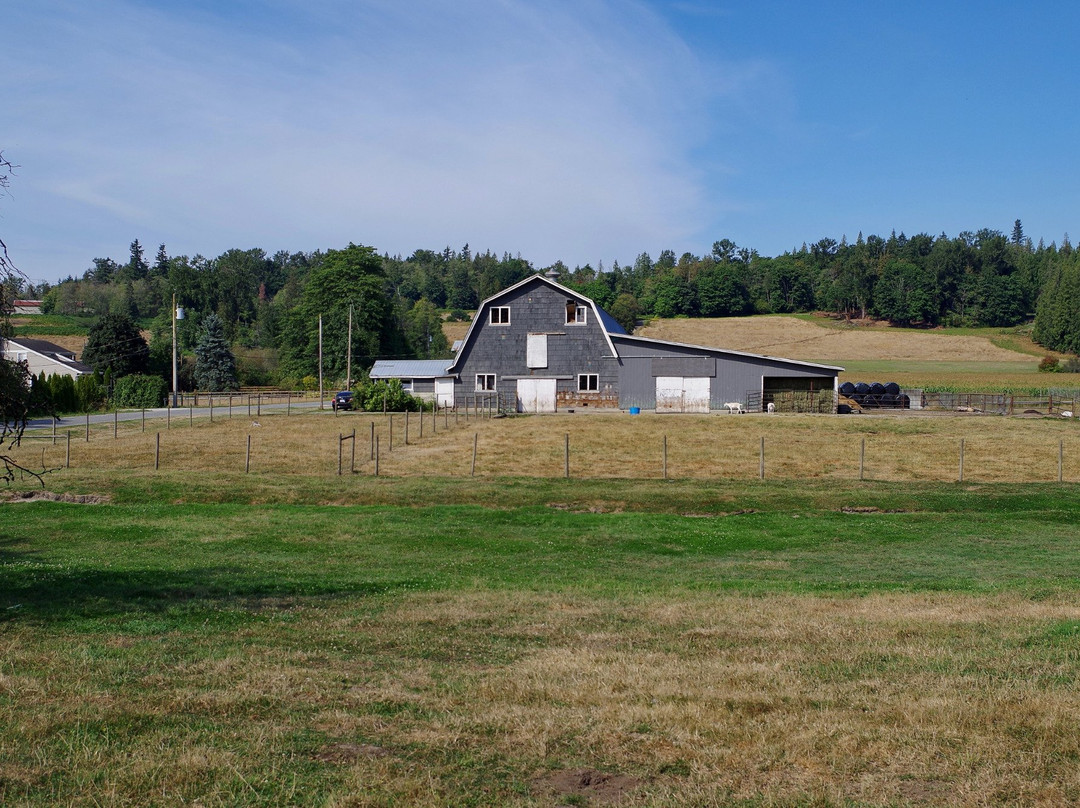Milner Valley Cheese-兰里市必去景点