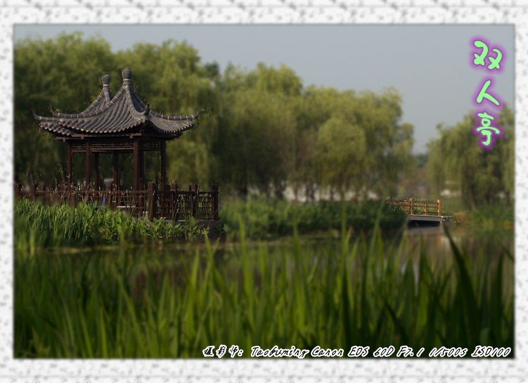 三台山森林公园景点图片