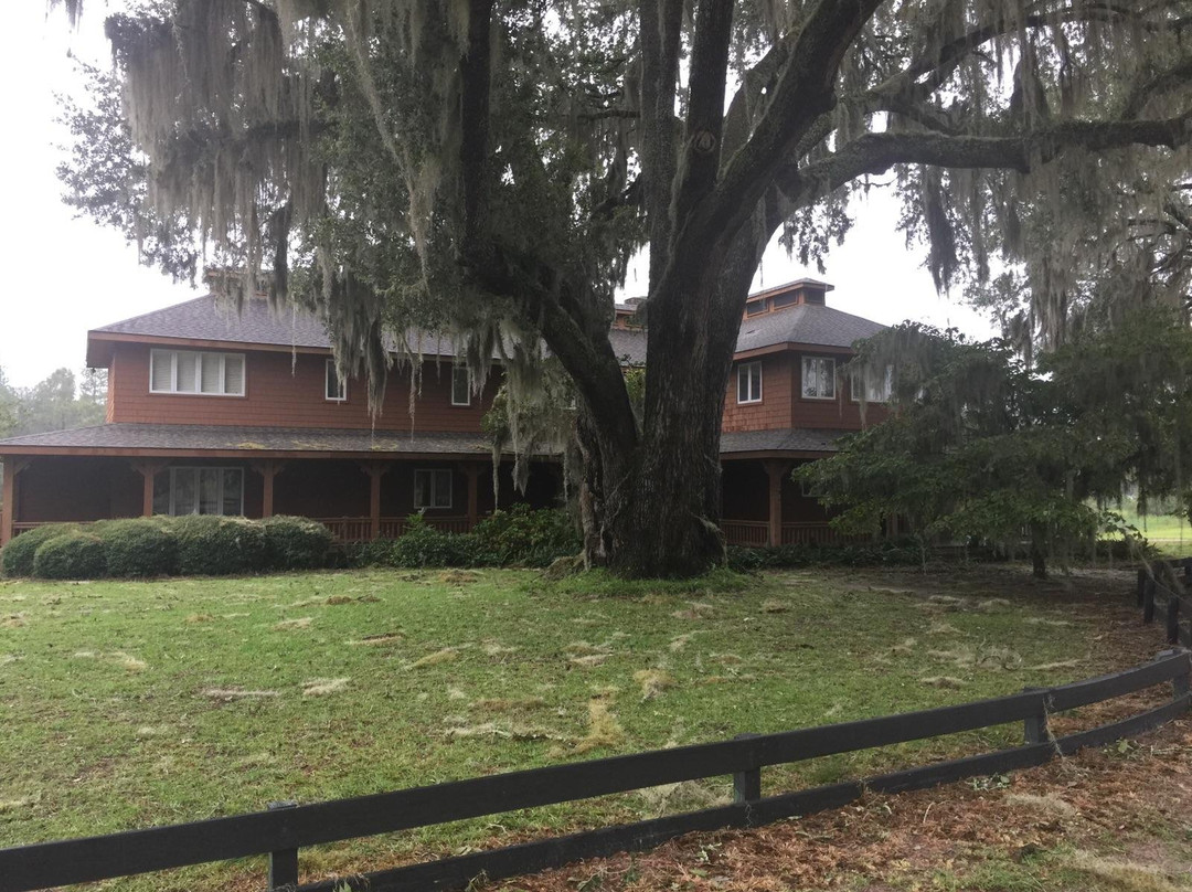 Live Oak Plantation Lodge
