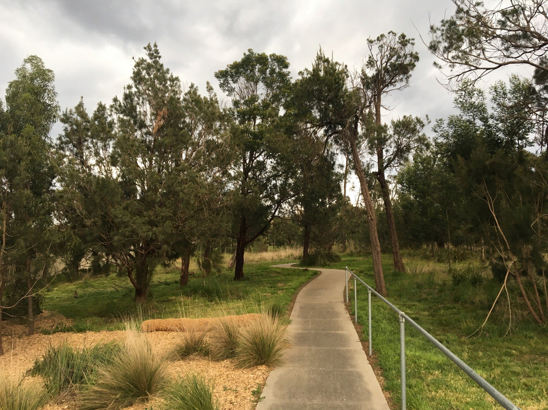 Eumemmerring旅游景点-Casuarina Forest Reserve