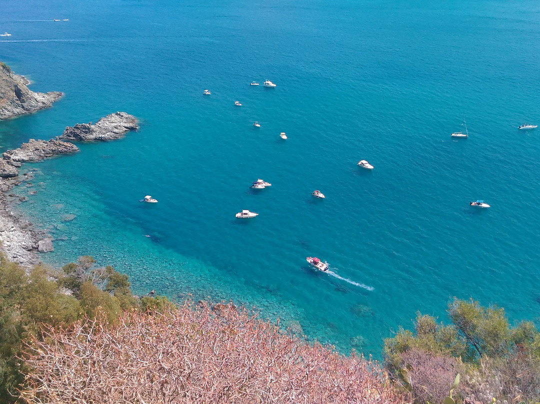 Spiaggia Di Caminia景点图片