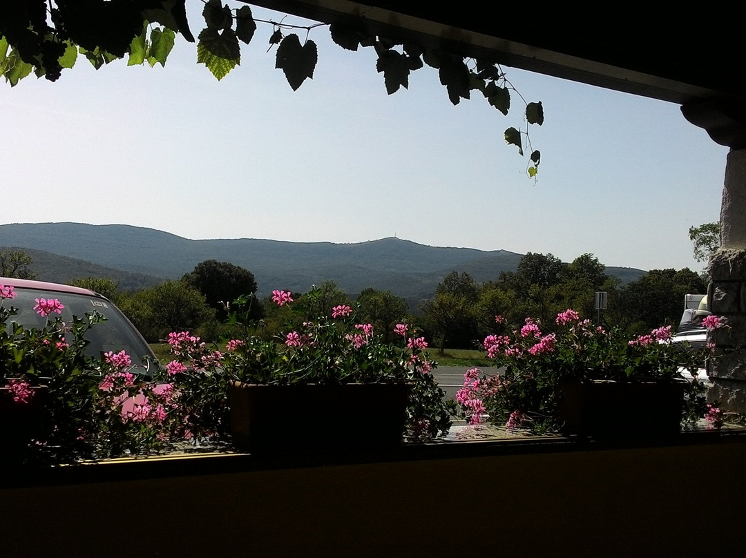 Gostilna Baša, Damjan Baša s.p.