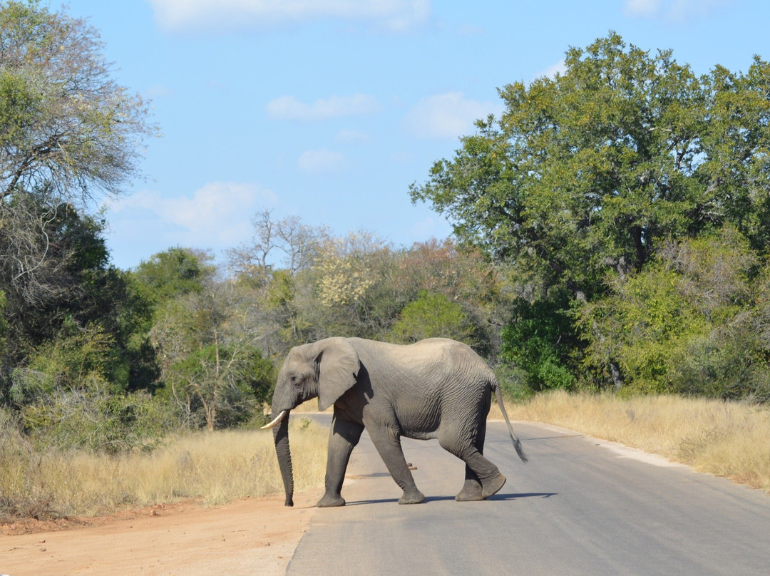 Pabeni Gate Kruger National Park景点图片
