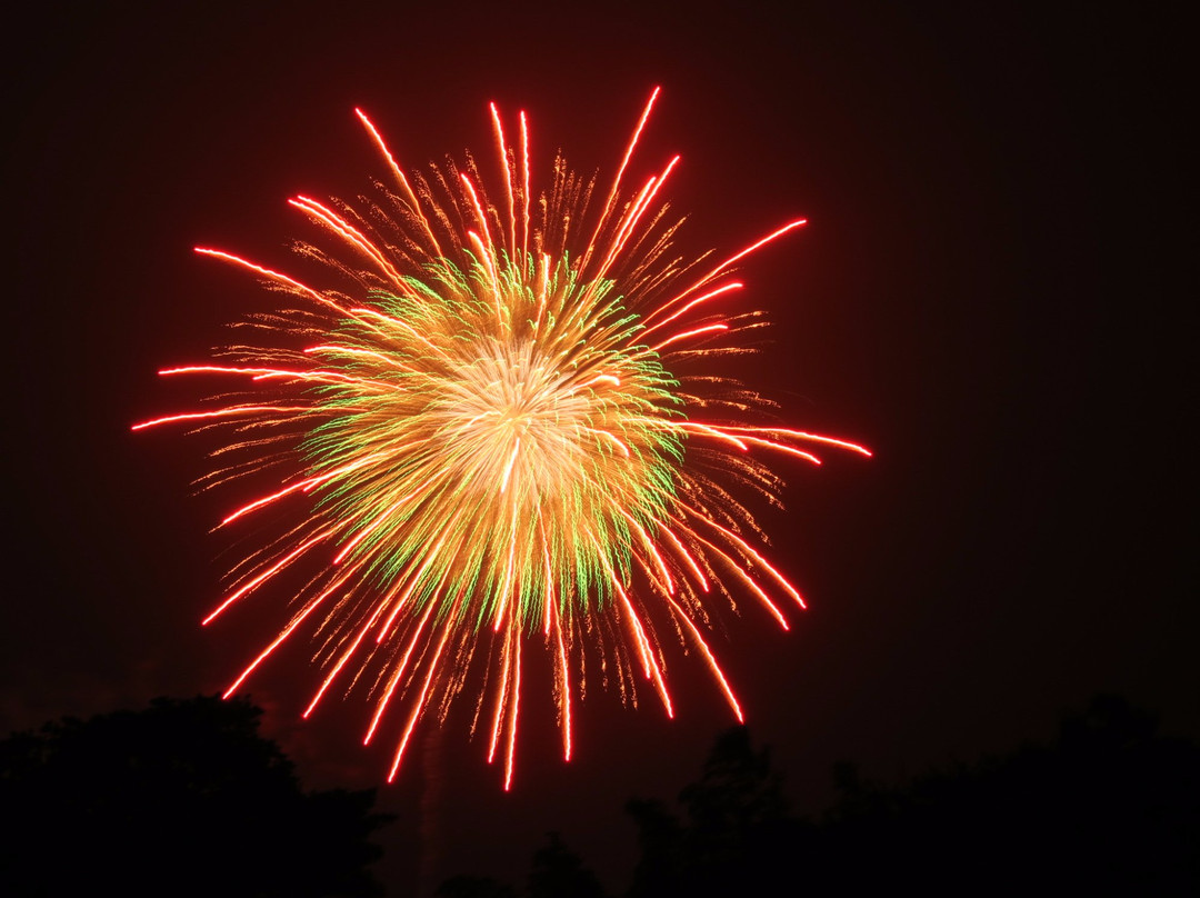 Toyota Oiden Festival Fireworks-丰田市必去景点