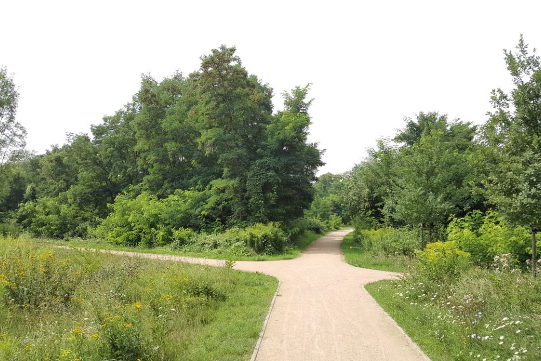Bürgerpark Salineinsel-Schönebeck必去景点