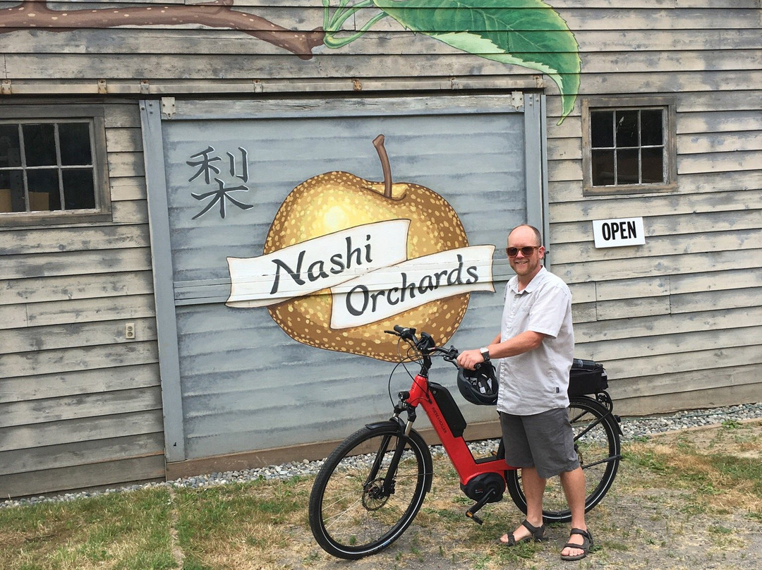 Nashi Orchards-Vashon必去景点