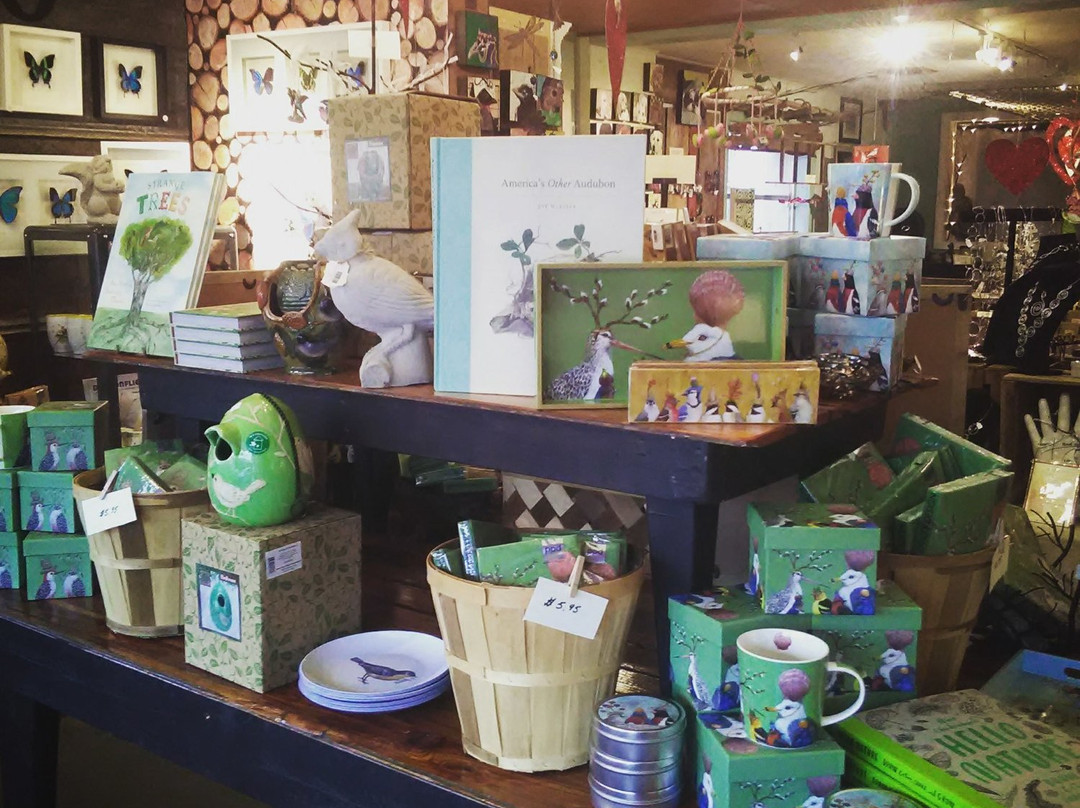 Papilio of Mount Dora-Mount Dora必去景点