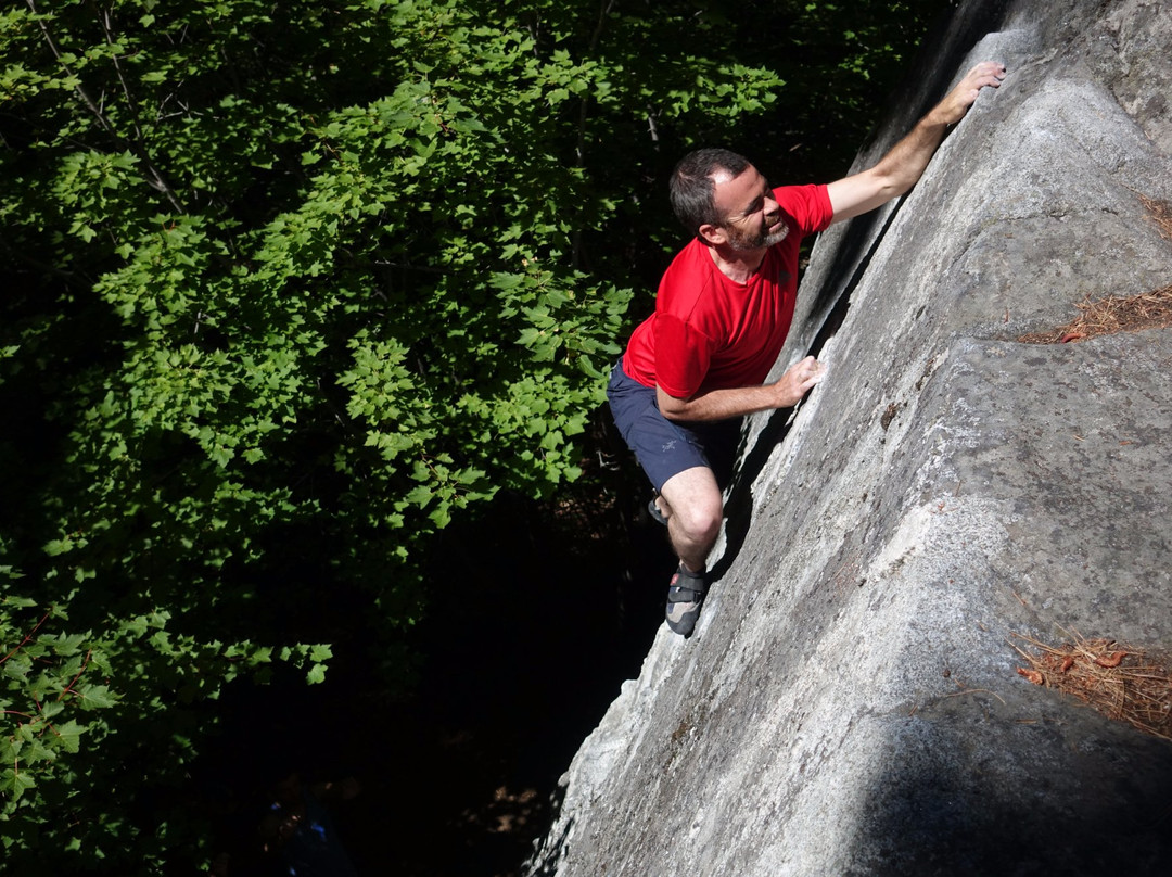 Bouldering Bus-西雅图必去景点